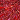 Red/Fuchsia